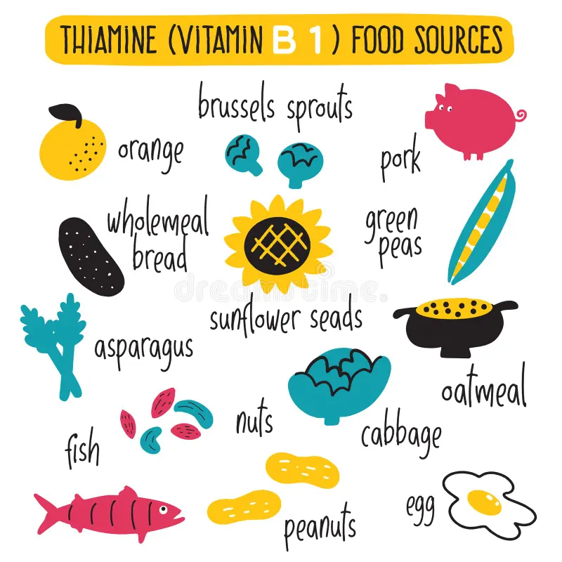 where is vitamins from the b complex found